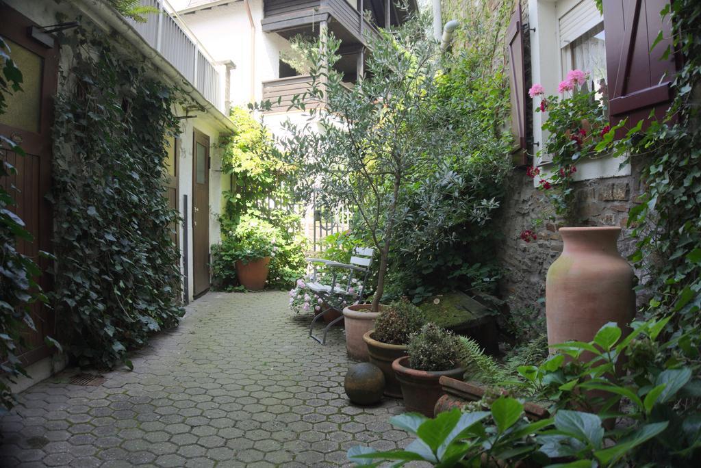 Hotel Garni Altes Winzerhaus Moselschaenke 科伯恩-贡多夫 外观 照片