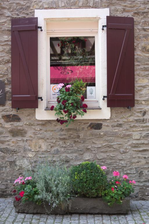 Hotel Garni Altes Winzerhaus Moselschaenke 科伯恩-贡多夫 外观 照片
